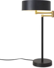 Интерьерная настольная лампа Izza FR4008TL-02BBS купить с доставкой по России