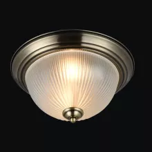 Потолочный светильник Planum FR913-02-R купить с доставкой по России